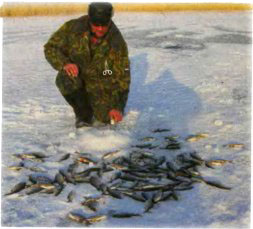 Для зимней рыбалки (советы молодым)