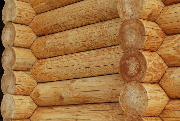 Основные свойства древесины, используемой при строительстве деревянных домов
