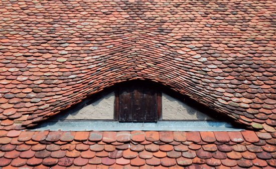 ����������� ������������ ��������