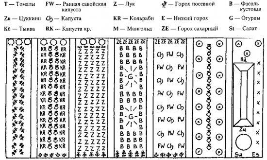 ��������� ������: ������