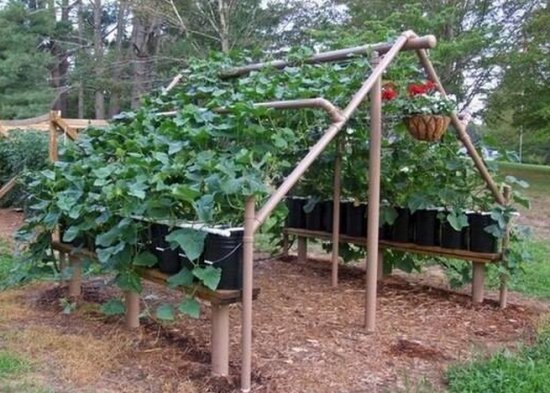 ��������� ������: ������