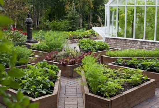 ��������� ������: ������