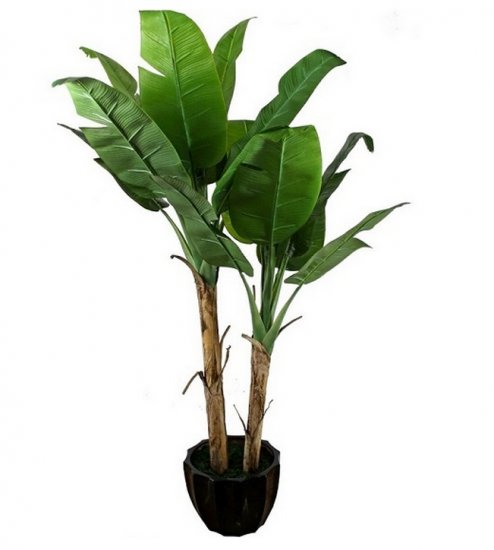 �������� ����: ����� �������� �������?