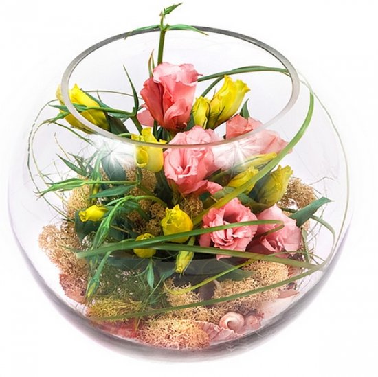 ���������� �� ������ ������ ������