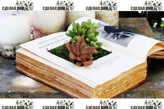 Сад в книжке своими руками Сад в книжке своими руками