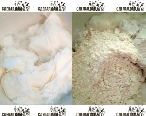 Делаем кораллы из туалетной бумаги Делаем кораллы из туалетной бумаги