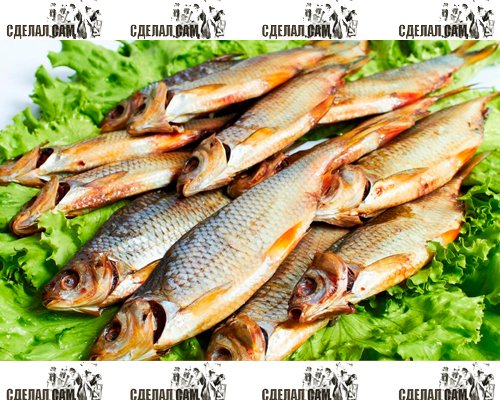 Вяленая рыба своими руками Вяленая рыба своими руками