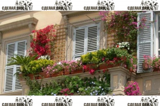 ���������� ������� ������������ ������ 