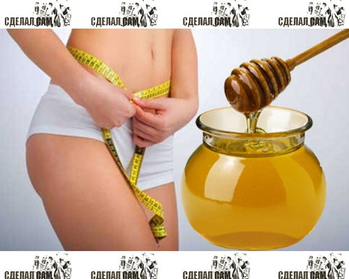 Польза меда и медовая диета