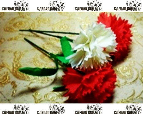 Поделки на 9 Мая: гвоздика Поделки на 9 Мая: гвоздика