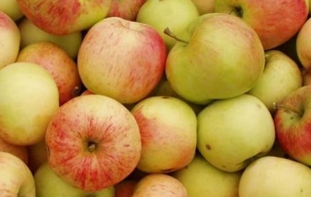 Хранение яблок на зиму в домашних условиях
