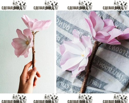Делаем цветы из бумаги самостоятельно