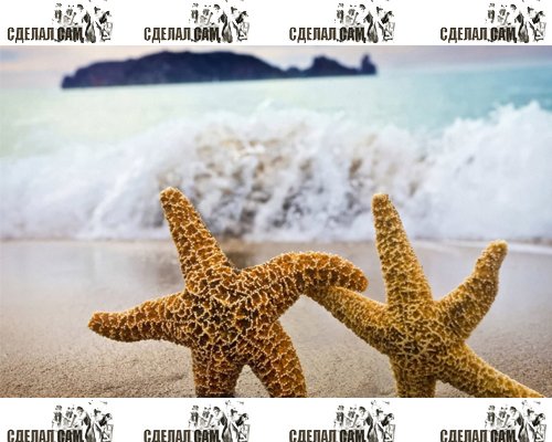 На каком море отдохнуть? На каком море отдохнуть?