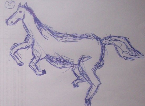 Как нарисовать коня с помощью шариковой ручки?