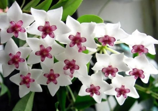 ���� ������ � ��������� - ��������� ��������