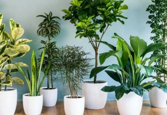 ���� ������ � ��������� - ��������� ��������