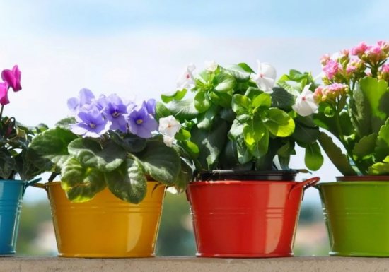 ���� ������ � ��������� - ��������� ��������