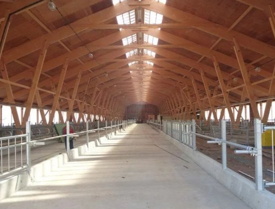 ������������� ���������������� ���������� �� lvl-�����