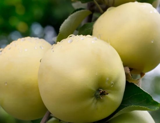 ���������� ������ � ��������� ����