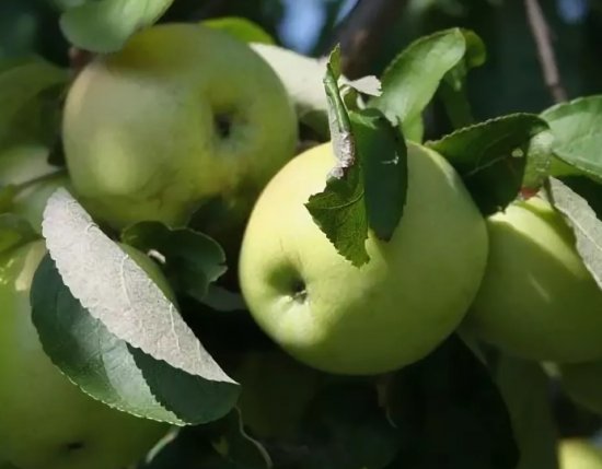 ���������� ������ � ��������� ����