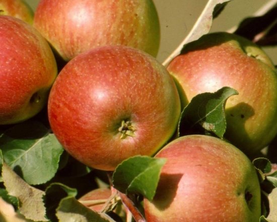 ���������� ������ � ��������� ����