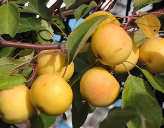 ���������� ������ � ��������� ����