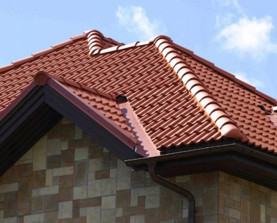 ���������������: ������������ � ���������� ���������