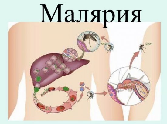 ������� � �� �������