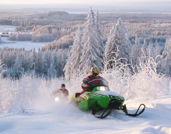 ������ ����� � �������