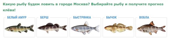 Что такое прогноз клева рыбы?
