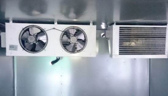 �����-������� �����������: ����� � ����� ������������