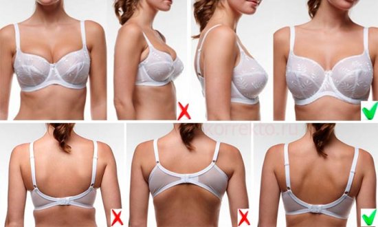 ����� ������������ �� ������