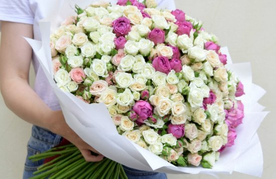 ������ ����� ������� ����� �� �������� ���