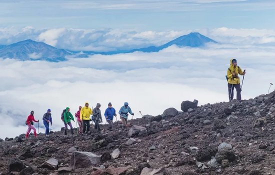 ������ � ���� �� ��������