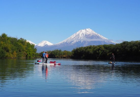 ������ � ���� �� ��������