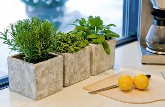 ����������� ��������� ���� �� �����������