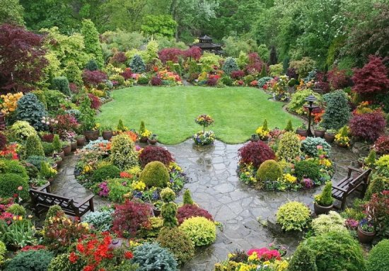 ��� ������� �������� ����������� ������