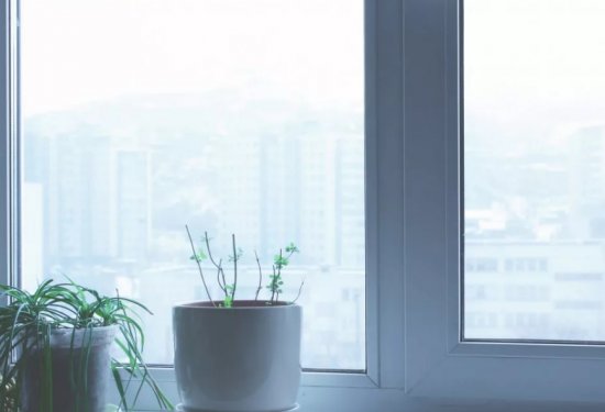 ����������� ���� ���. ������� � ��� � ������ ����