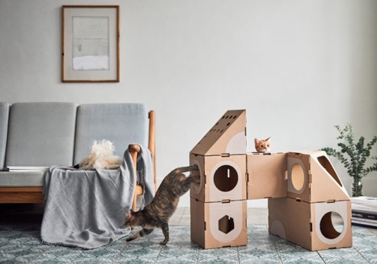 ��� ����� ������� �� ������ ��������� �������